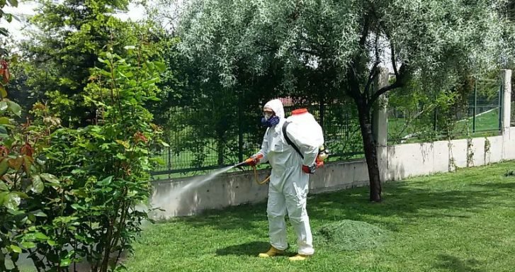 Fare ve Kemirgen İlaçlama Bursa